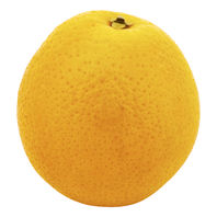 Cheddar Cheese
